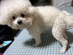 -谐和益家动物医院·免疫绝育·血液透析·宠保定点医院(高新伊藤分院)