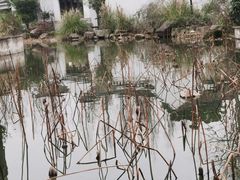 -绍兴东湖风景区