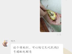 -青石桥花鸟鱼虫市场(叠翠城店)