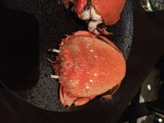 沈阳君悦酒店乐厨自助餐厅-君悦酒店·乐厨·高空自助餐(青年大街店)