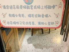 -滚猫咖啡·猫咖·猫友好撸猫(未来城店)