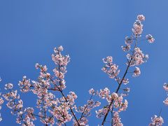 -新江湾城公园