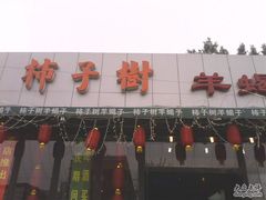 门面-柿子树炭烤羊腿(金台路店)