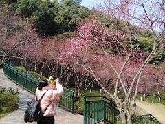 -重庆彩云湖湿地公园
