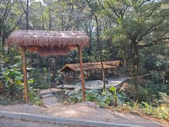 -广州市帽峰山景区