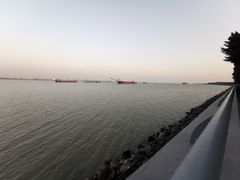 -大湾区中央湿地公园
