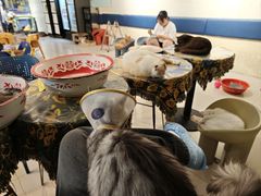 -平行世界·猫咖(首经贸店)