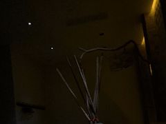 -Dragonfly悠庭·按摩Spa(浦东嘉里城店)