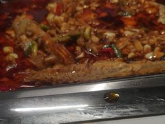 -黑猫馋纸包鱼(阳光店)