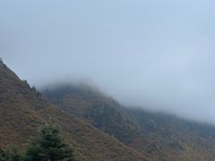 -西姆山居酒店(九寨沟沟口店)