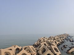 -东疆建设开发纪念公园