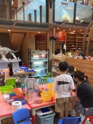 -卡通尼·Safari非洲探索乐园·生日会(金桥国际商业广场店)