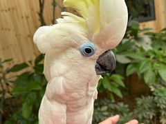 -南宫五洲植物乐园