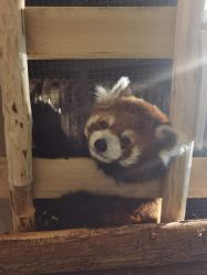 -Zoolung Zoolung动物主题公园(海信广场店)