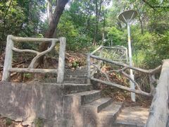 -大雁山风景区