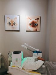 -洗脸猫·洗脸吧