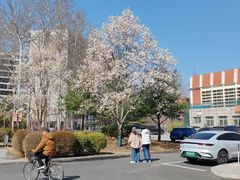 -中国政法大学(昌平校区)