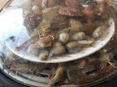 -港畔赶海蒸汽海鲜烧烤自助(仙螺岛店)