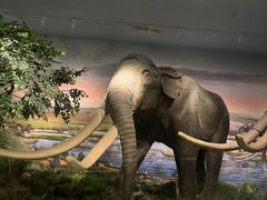 -湖南省地质博物馆