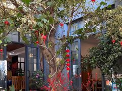 -海韵人家.海景花园经典云南菜(双廊店)