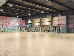 -极限PLAY运动娱乐新世界·团建派对表演休闲馆·室内高空游乐园