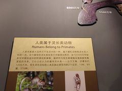 -辽宁古生物博物馆