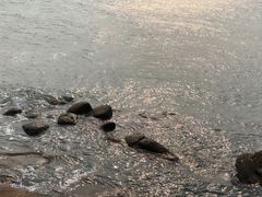 -海之鲜大排档(东山海鲜金銮湾店)