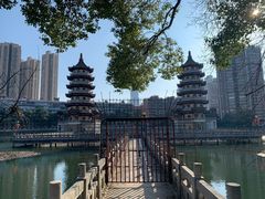 -宝岛公园