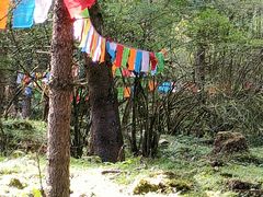 -硗碛藏寨·神木垒景区