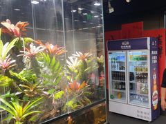 -扶摇湘宴·烤鸭·湘粤宴(中关村·北大店)
