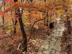 -五女山景区