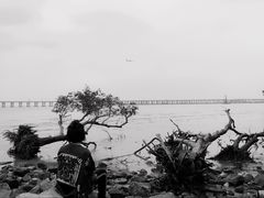 -宝安西湾红树林湿地公园