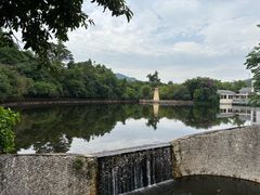 -大屏嶂森林公园