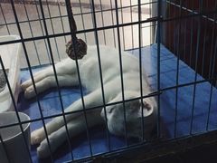 -赢吧Bliss音乐酒吧