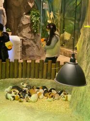 -宝燕乐园(闵行旗舰店)