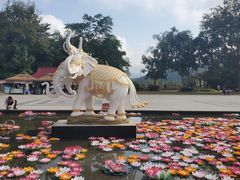 -西双版纳勐泐文化旅游区