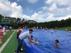 -迪茵湖田家舍生态农场