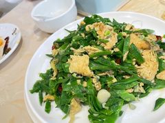 沙参苗炒鸡蛋-北方饺子王·海肠捞饭·海鲜锅(山大店)