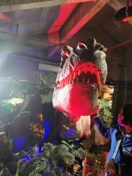 -恐龙探索乐园(磁器口店)