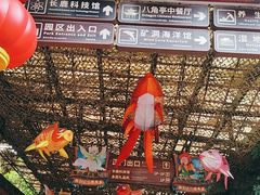 -长鹿旅游休博园