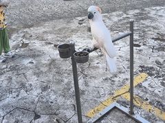 -七仙岭温泉国家森林公园