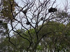 -上海野生动物园