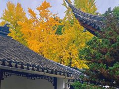 -西园寺