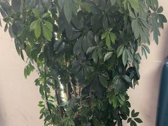 -正丰源大缸烧烤(人民路店)