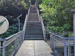 -佛山华盖山公园