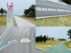 -小麦岛公园