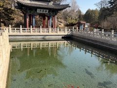 -晋祠公园