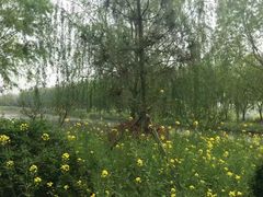 -兰陵国家农业公园