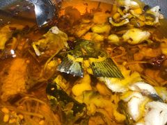 -雲蜀龙阁·金牌水煮鱼(方庄店)