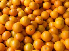 -明辉果业(章家巷小区延长西路526弄店)